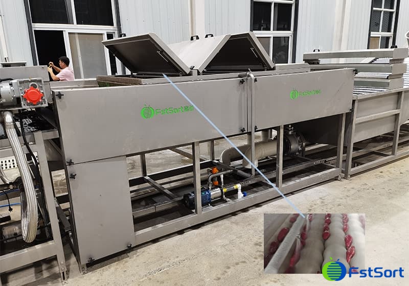 images/1711961685246sweet potato brush sprayer.jpg